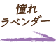 憧れラベンダー